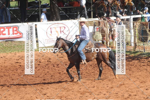 Buy your photos of the eventTEAM PENNING  GRANDE FINAL CAMARU on Fotop