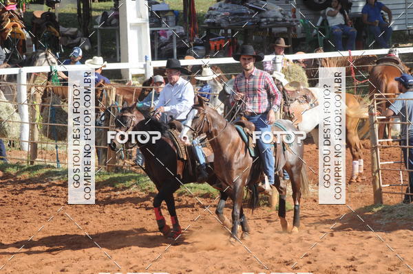 Buy your photos of the eventTEAM PENNING  GRANDE FINAL CAMARU on Fotop