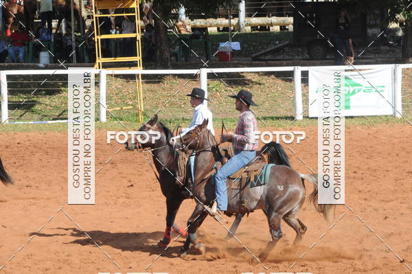 Buy your photos of the eventTEAM PENNING  GRANDE FINAL CAMARU on Fotop