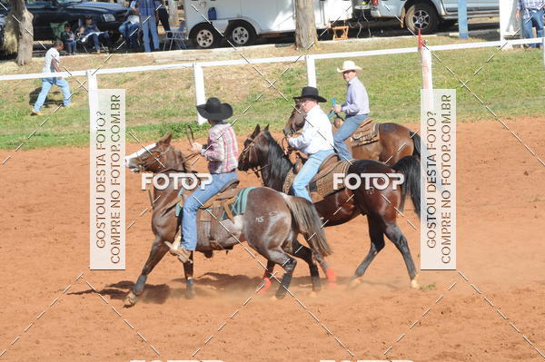 Buy your photos of the eventTEAM PENNING  GRANDE FINAL CAMARU on Fotop