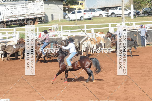 Buy your photos of the eventTEAM PENNING  GRANDE FINAL CAMARU on Fotop