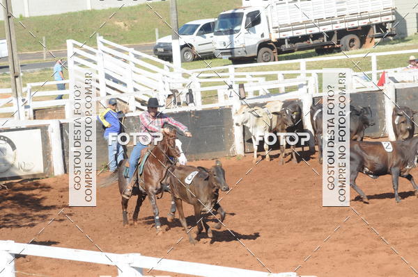 Buy your photos of the eventTEAM PENNING  GRANDE FINAL CAMARU on Fotop