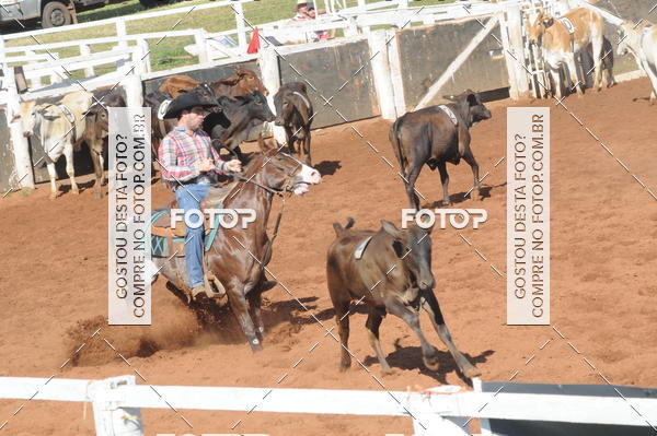 Buy your photos of the eventTEAM PENNING  GRANDE FINAL CAMARU on Fotop