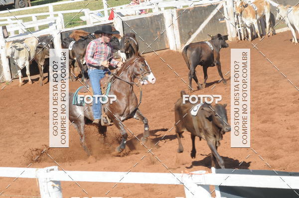 Buy your photos of the eventTEAM PENNING  GRANDE FINAL CAMARU on Fotop