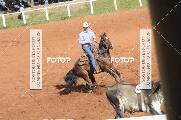 Buy your photos of the eventTEAM PENNING  GRANDE FINAL CAMARU on Fotop