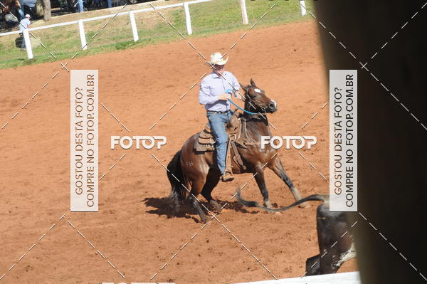 Buy your photos of the eventTEAM PENNING  GRANDE FINAL CAMARU on Fotop