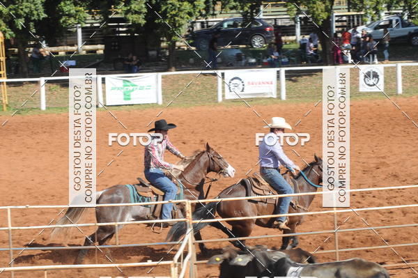 Buy your photos of the eventTEAM PENNING  GRANDE FINAL CAMARU on Fotop