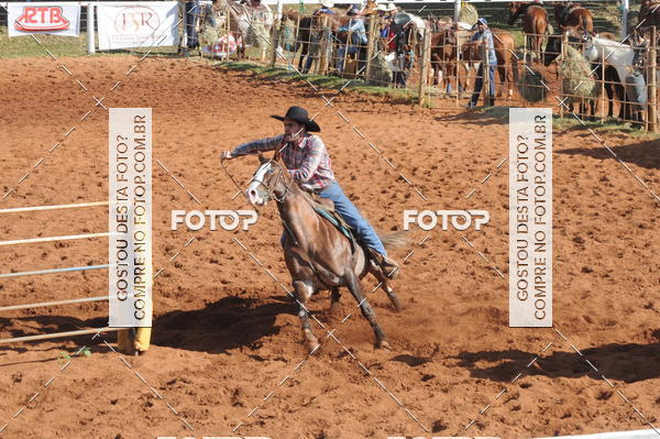 Buy your photos of the eventTEAM PENNING  GRANDE FINAL CAMARU on Fotop