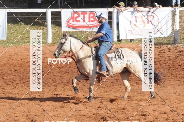 Buy your photos of the eventTEAM PENNING  GRANDE FINAL CAMARU on Fotop