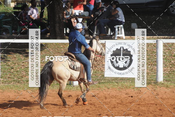Buy your photos of the eventTEAM PENNING  GRANDE FINAL CAMARU on Fotop