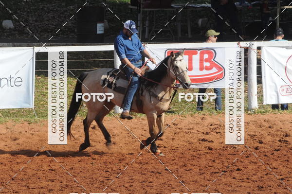 Buy your photos of the eventTEAM PENNING  GRANDE FINAL CAMARU on Fotop