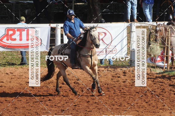 Buy your photos of the eventTEAM PENNING  GRANDE FINAL CAMARU on Fotop