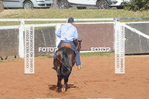 Buy your photos of the eventTEAM PENNING  GRANDE FINAL CAMARU on Fotop