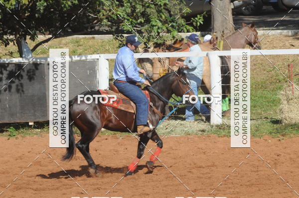 Buy your photos of the eventTEAM PENNING  GRANDE FINAL CAMARU on Fotop