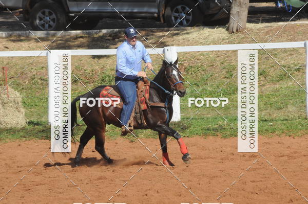 Buy your photos of the eventTEAM PENNING  GRANDE FINAL CAMARU on Fotop