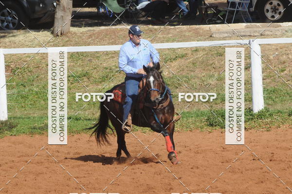 Buy your photos of the eventTEAM PENNING  GRANDE FINAL CAMARU on Fotop