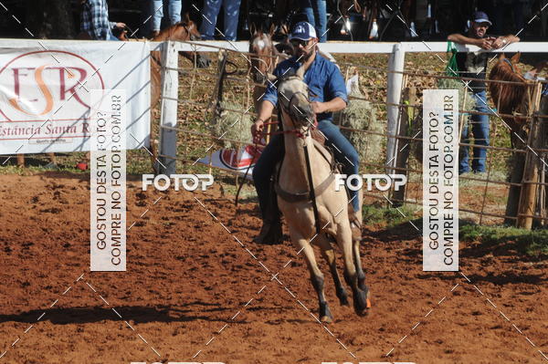 Buy your photos of the eventTEAM PENNING  GRANDE FINAL CAMARU on Fotop