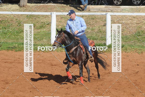 Buy your photos of the eventTEAM PENNING  GRANDE FINAL CAMARU on Fotop