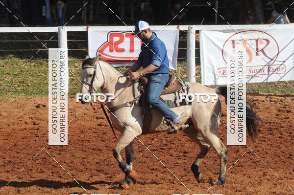 Buy your photos of the eventTEAM PENNING  GRANDE FINAL CAMARU on Fotop