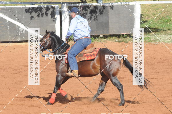 Buy your photos of the eventTEAM PENNING  GRANDE FINAL CAMARU on Fotop