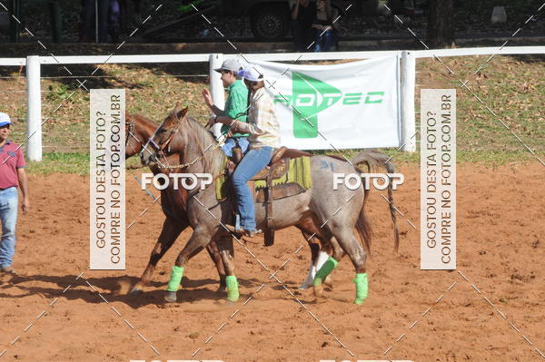 Buy your photos of the eventTEAM PENNING  GRANDE FINAL CAMARU on Fotop