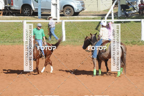 Buy your photos of the eventTEAM PENNING  GRANDE FINAL CAMARU on Fotop