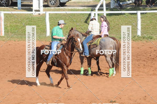 Buy your photos of the eventTEAM PENNING  GRANDE FINAL CAMARU on Fotop