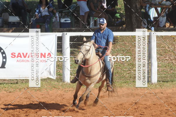 Buy your photos of the eventTEAM PENNING  GRANDE FINAL CAMARU on Fotop