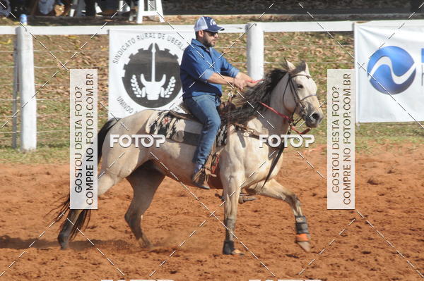 Buy your photos of the eventTEAM PENNING  GRANDE FINAL CAMARU on Fotop