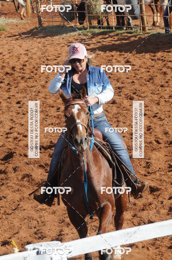 Buy your photos of the eventTEAM PENNING  GRANDE FINAL CAMARU on Fotop