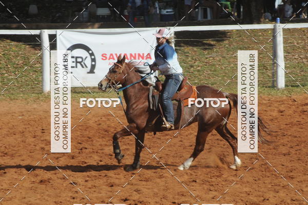 Buy your photos of the eventTEAM PENNING  GRANDE FINAL CAMARU on Fotop