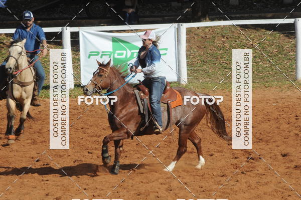 Buy your photos of the eventTEAM PENNING  GRANDE FINAL CAMARU on Fotop