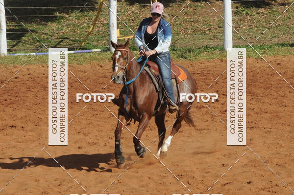 Buy your photos of the eventTEAM PENNING  GRANDE FINAL CAMARU on Fotop