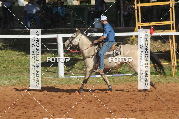 Buy your photos of the eventTEAM PENNING  GRANDE FINAL CAMARU on Fotop