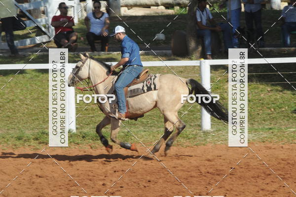 Buy your photos of the eventTEAM PENNING  GRANDE FINAL CAMARU on Fotop
