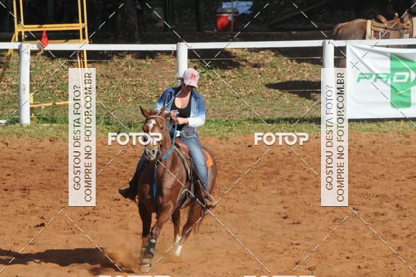 Buy your photos of the eventTEAM PENNING  GRANDE FINAL CAMARU on Fotop