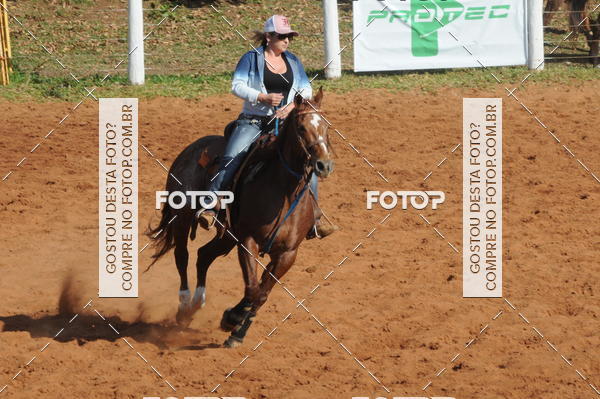 Buy your photos of the eventTEAM PENNING  GRANDE FINAL CAMARU on Fotop