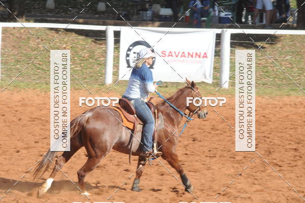 Buy your photos of the eventTEAM PENNING  GRANDE FINAL CAMARU on Fotop