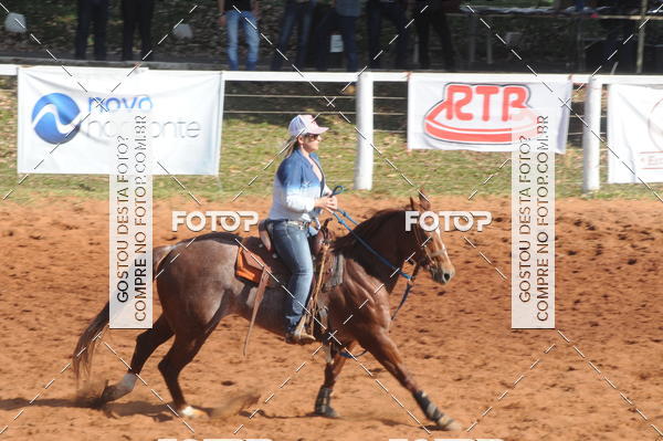 Buy your photos of the eventTEAM PENNING  GRANDE FINAL CAMARU on Fotop