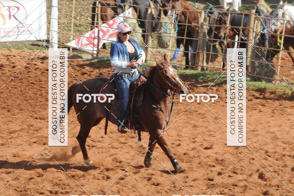 Buy your photos of the eventTEAM PENNING  GRANDE FINAL CAMARU on Fotop