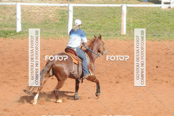 Buy your photos of the eventTEAM PENNING  GRANDE FINAL CAMARU on Fotop