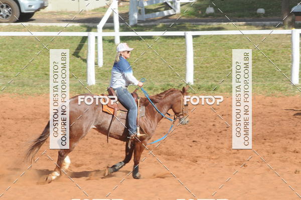 Buy your photos of the eventTEAM PENNING  GRANDE FINAL CAMARU on Fotop