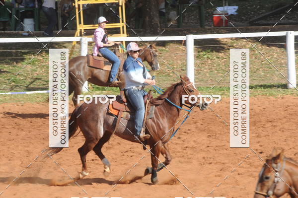 Buy your photos of the eventTEAM PENNING  GRANDE FINAL CAMARU on Fotop