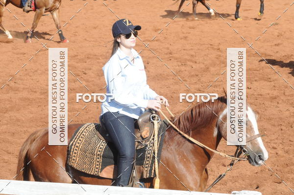 Buy your photos of the eventTEAM PENNING  GRANDE FINAL CAMARU on Fotop