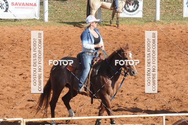 Buy your photos of the eventTEAM PENNING  GRANDE FINAL CAMARU on Fotop