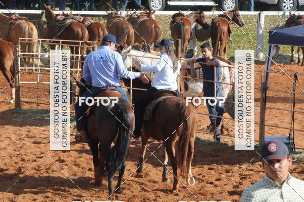 Buy your photos of the eventTEAM PENNING  GRANDE FINAL CAMARU on Fotop