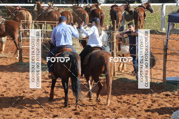Buy your photos of the eventTEAM PENNING  GRANDE FINAL CAMARU on Fotop