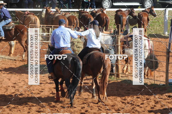 Buy your photos of the eventTEAM PENNING  GRANDE FINAL CAMARU on Fotop
