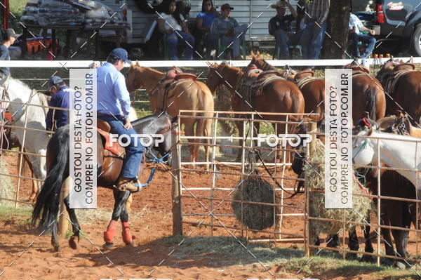 Buy your photos of the eventTEAM PENNING  GRANDE FINAL CAMARU on Fotop