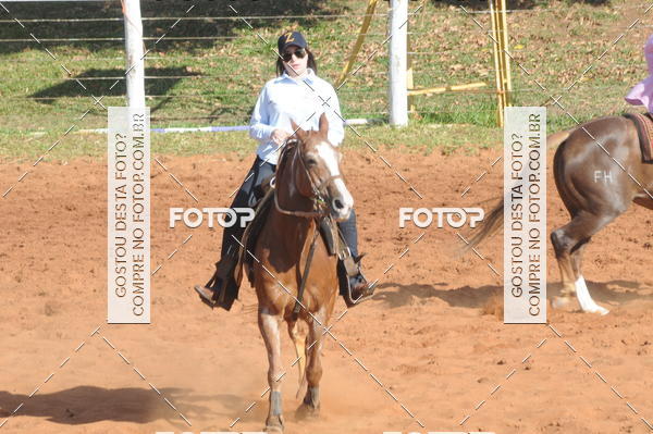 Buy your photos of the eventTEAM PENNING  GRANDE FINAL CAMARU on Fotop